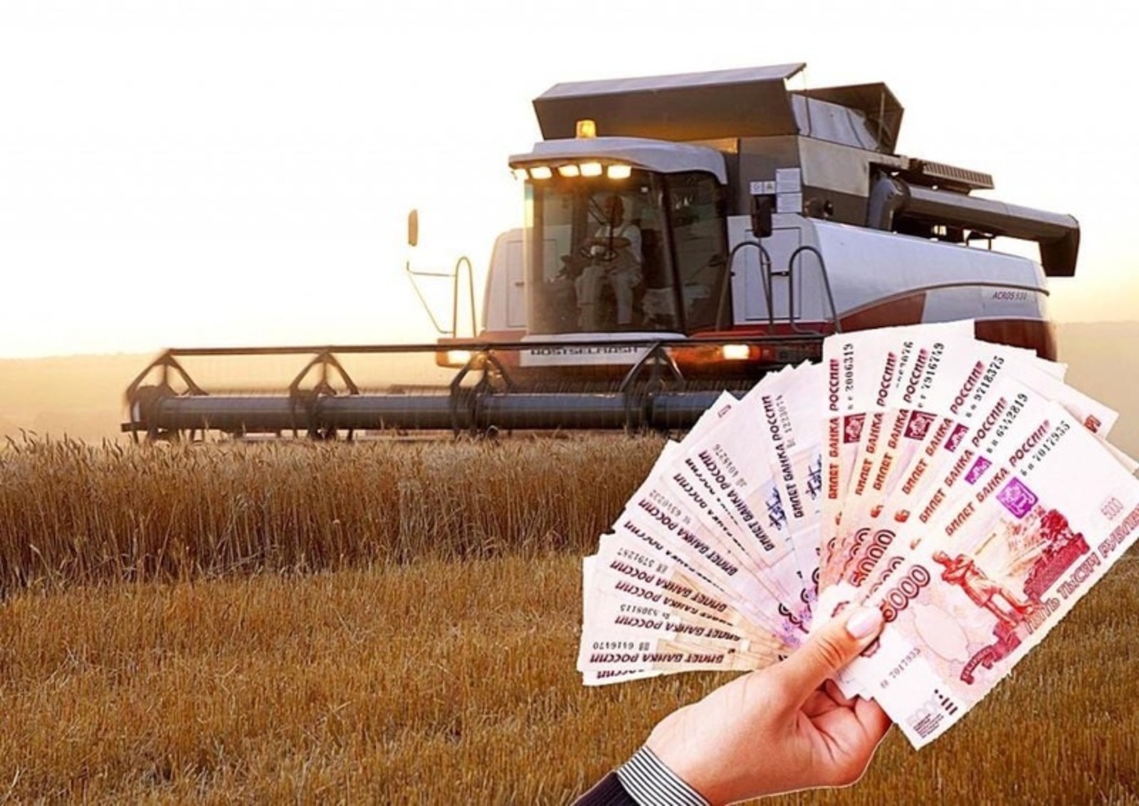 Кредитование сезонных полевых работ в России выросло