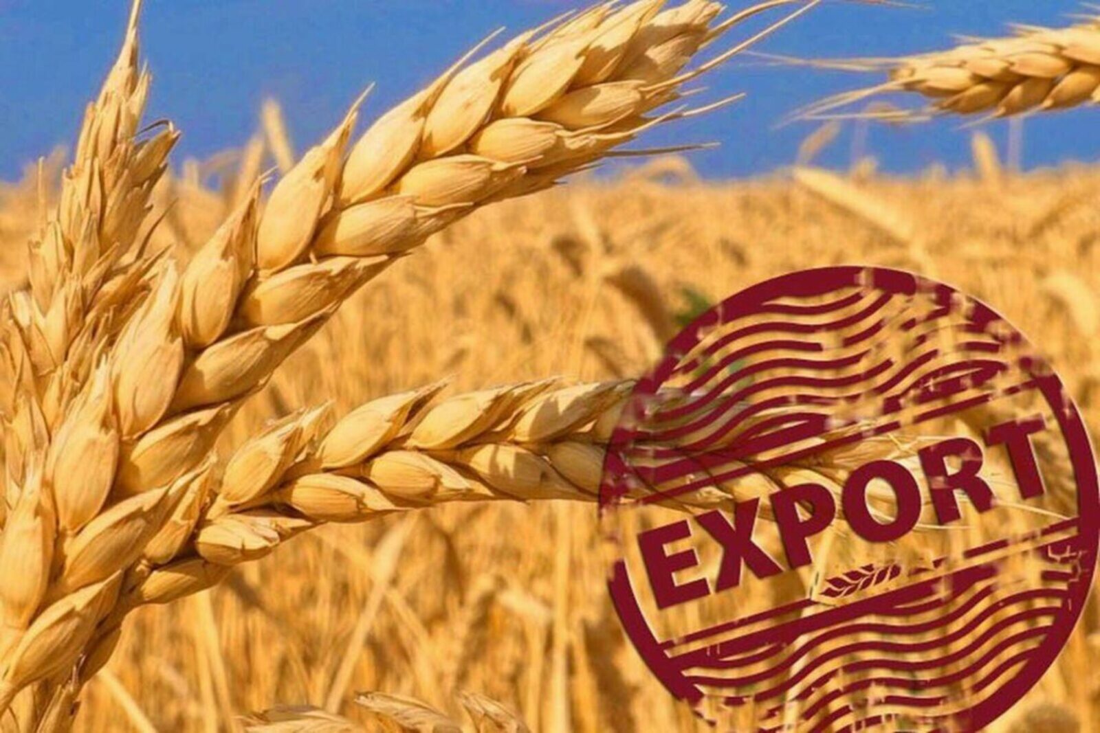 Башкортостан впервые экспортировал зерно в Иран