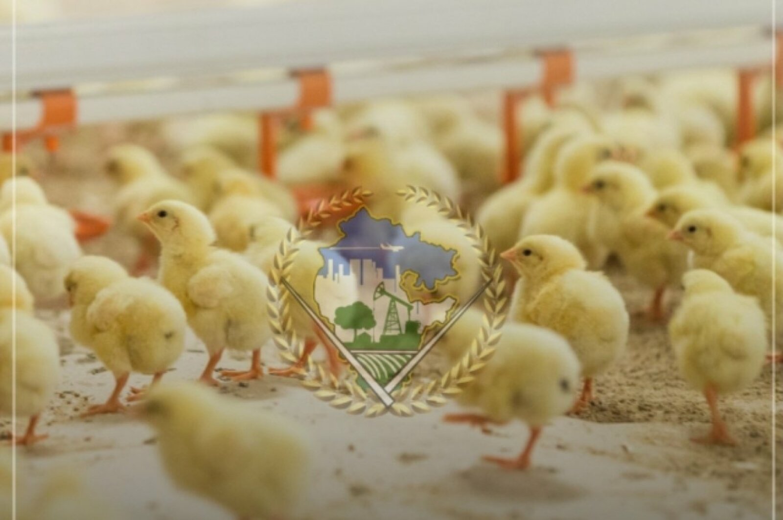 В Башкирии птицеферма получила землю без торгов для создания птицеводческого комплекса
