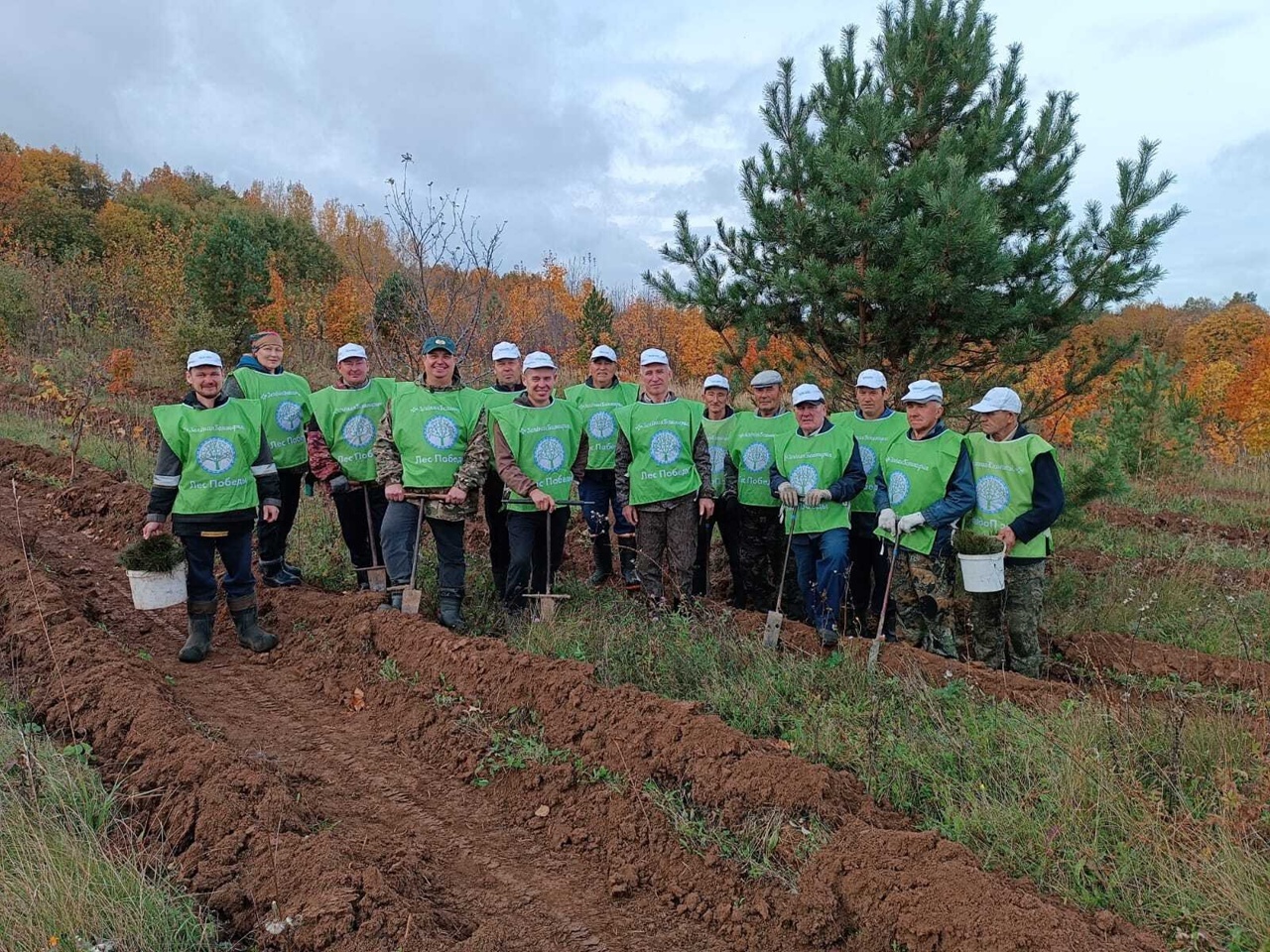 В рамках акции в Башкирии восстанавливают леса