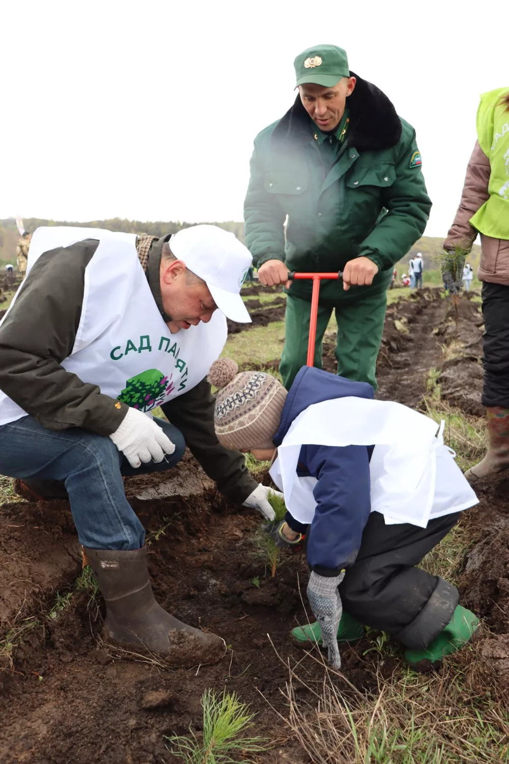 В Башкирии высадили «Лес Героев»