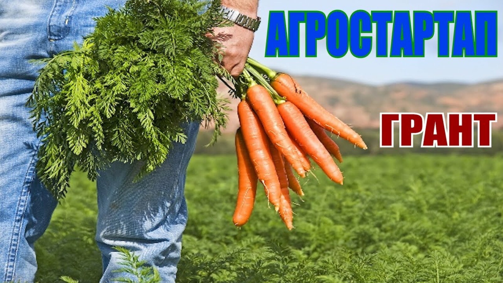 Минсельхоз Башкирии начался приём заявок для участия в конкурсе «Агростартап»