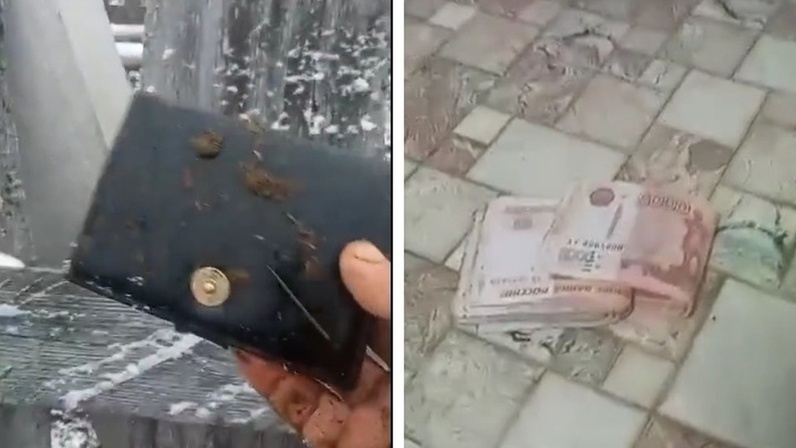 Фермер из Башкирии нашёл в желудке коровы кошелёк с деньгами