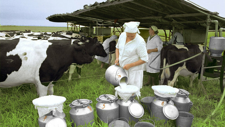 Дюртюлинские аграрии планируют увеличить производство молока