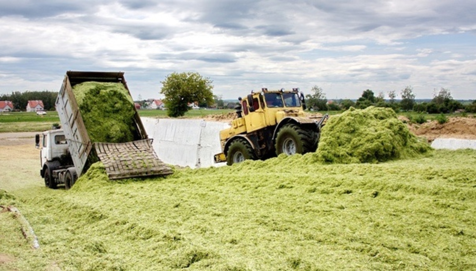 В Башкирии заготовили почти 255 тысяч тонн сенажа