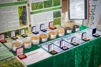 В Башкирии состоялся «День поля» для селекционеров и семеноводов