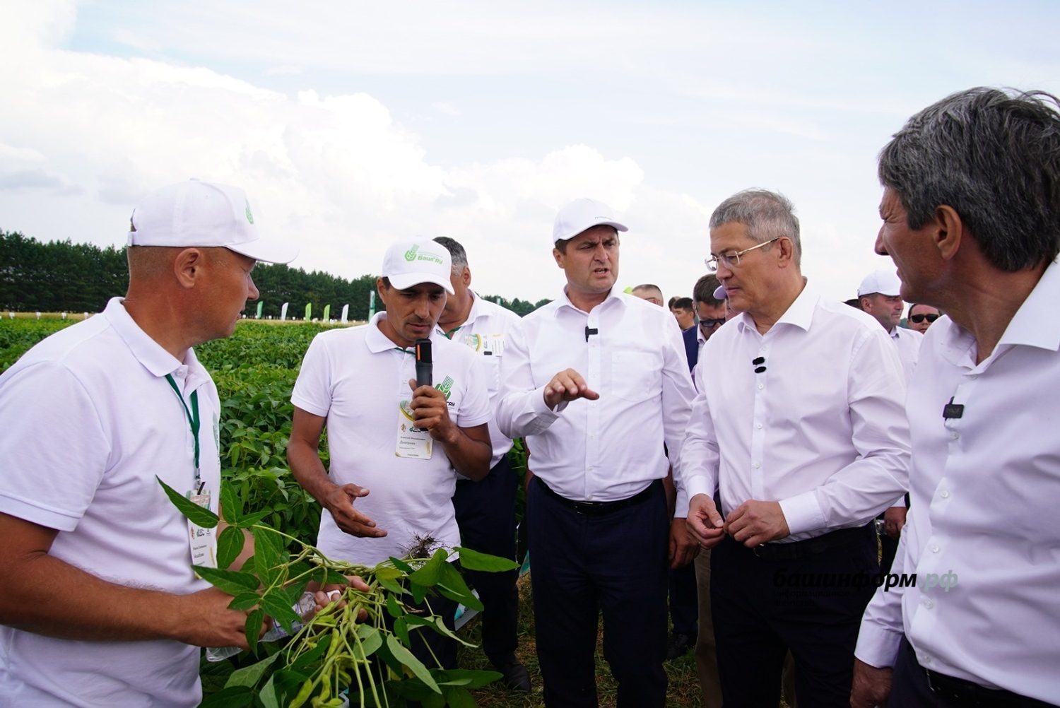 В Башкортостане началась жатва хлебов