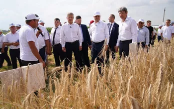 В Башкортостане началась жатва хлебов