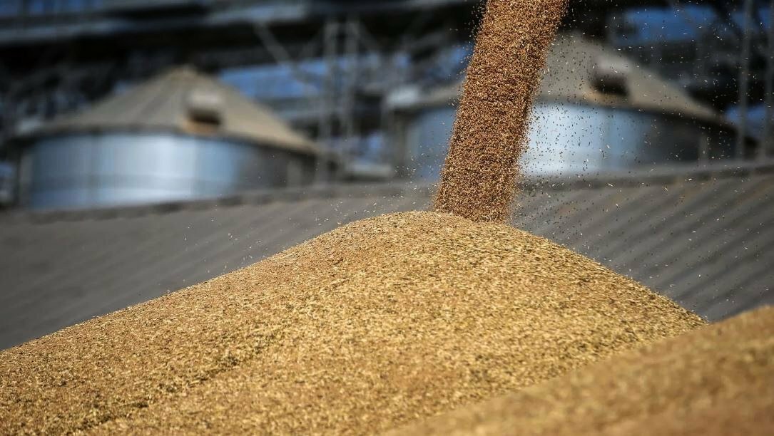 Экспорт башкортостанского зерна и продуктов его переработки налажен в 12 стран мира