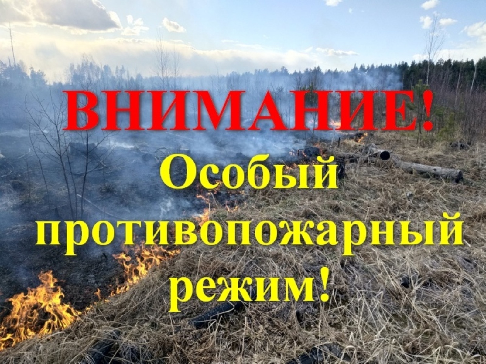 В Башкирии вводится особый противопожарный режим