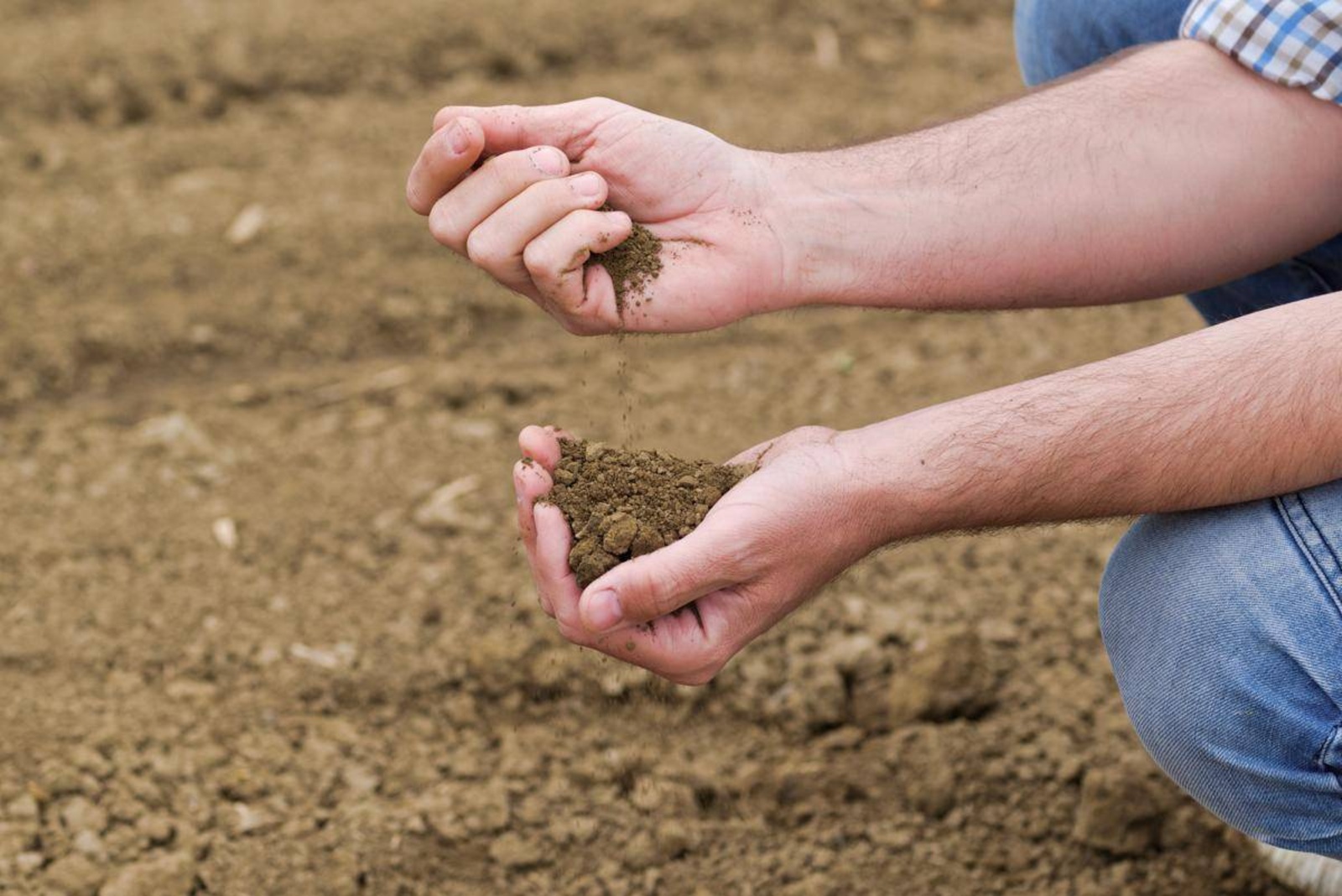 За нарушение здоровья почвы можно лишиться сельхозугодий